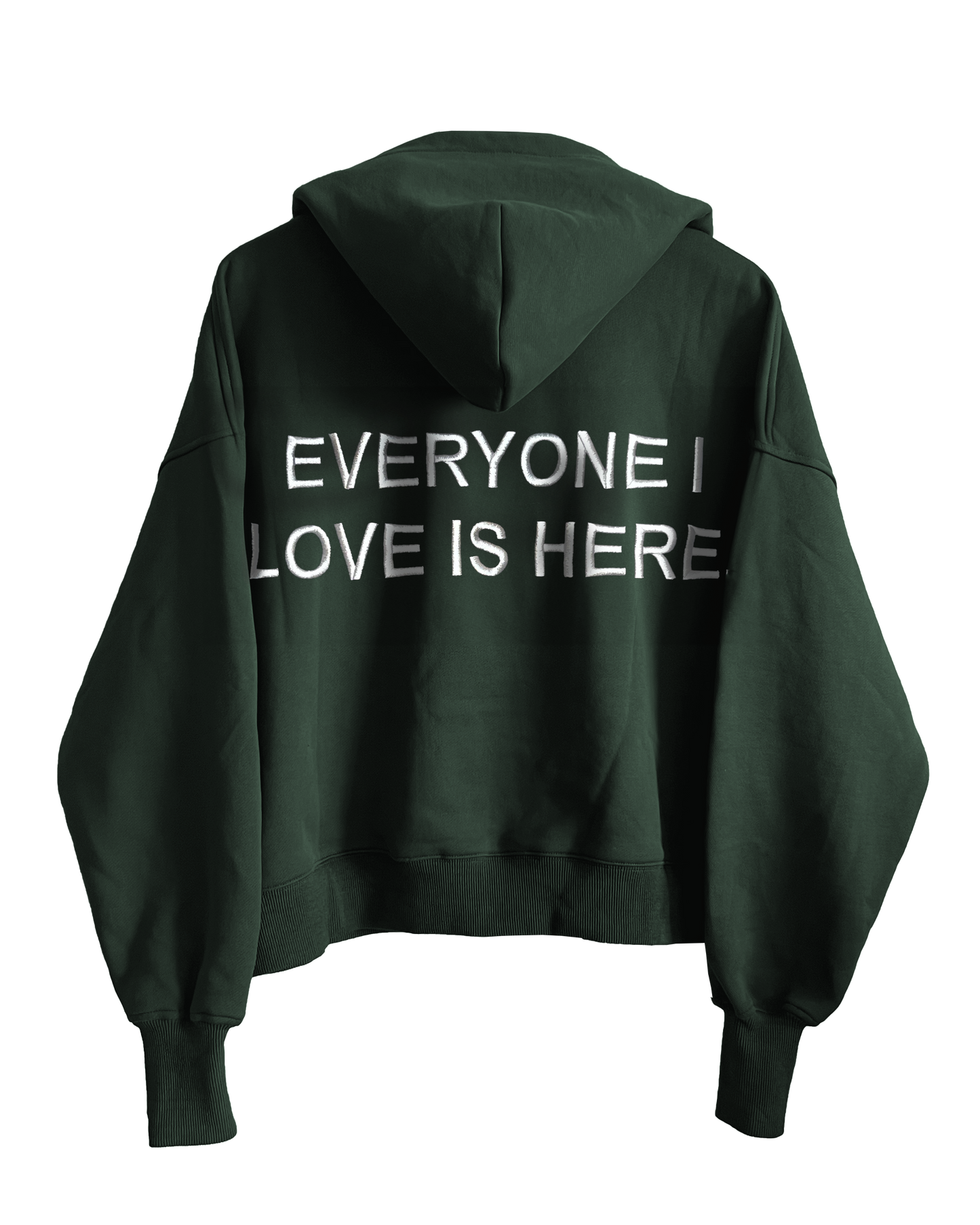 Everyone I Love Is Here - Green Embroidered Zippy Hoodie [PRE-ORDER]