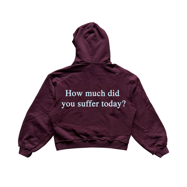 How Much? - Oxblood Celestial Cut Hoodie