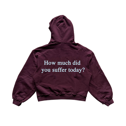 How Much? - Oxblood Celestial Cut Hoodie