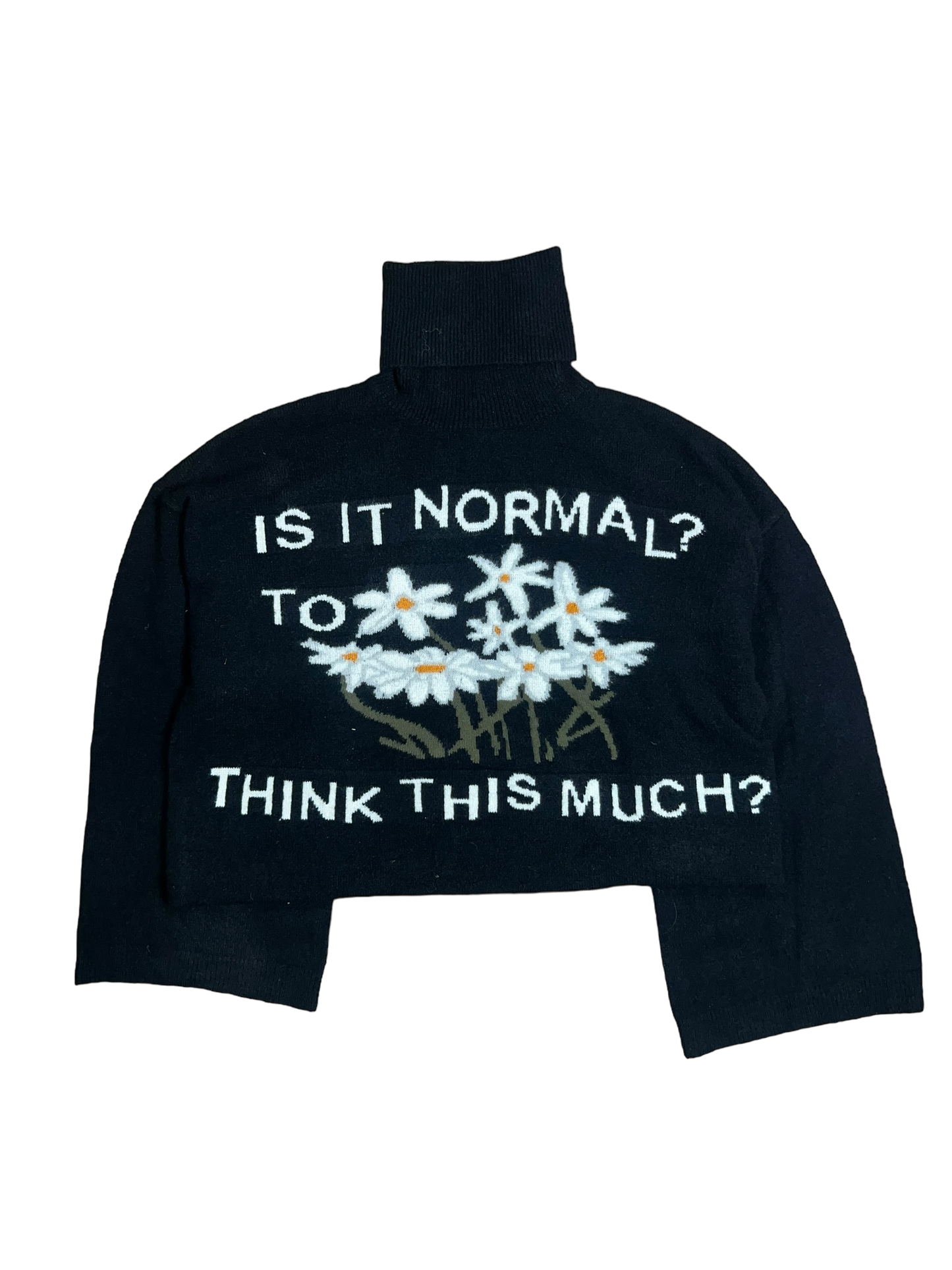 Is It Normal? - Turtleneck Knit Sweater [PRE-ORDER]