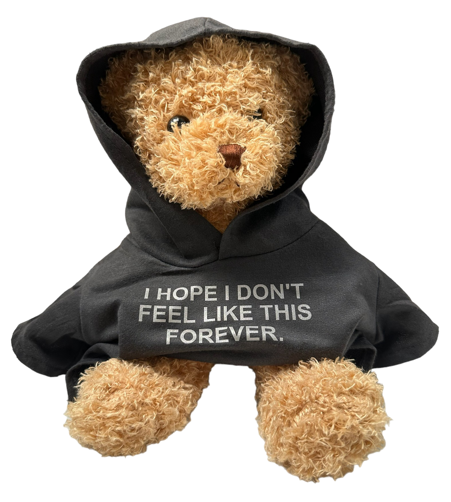 I Hope I Don't - 8" Teddy Bear