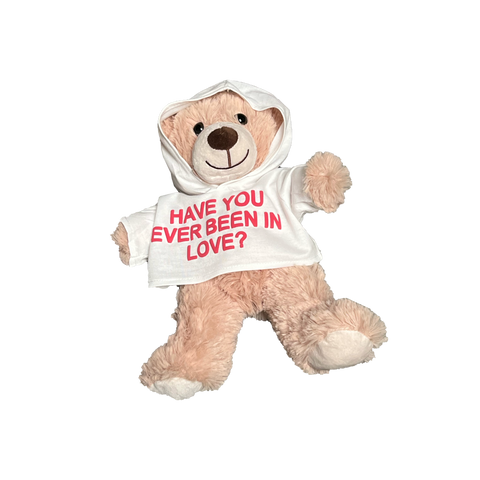 Have You Ever? - 14" Teddy Bear
