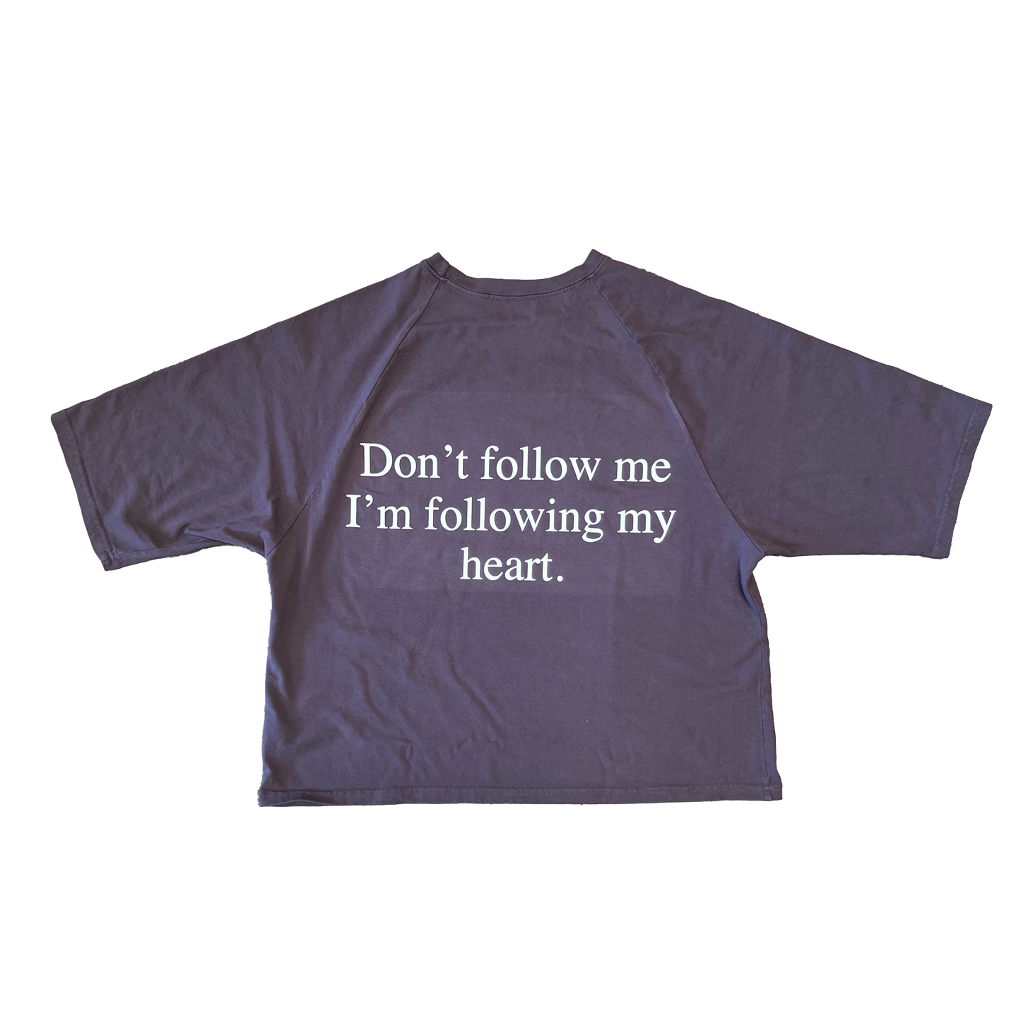 Don't Follow Me - Rabbit Grey Raglan Boxy Tee Shirt