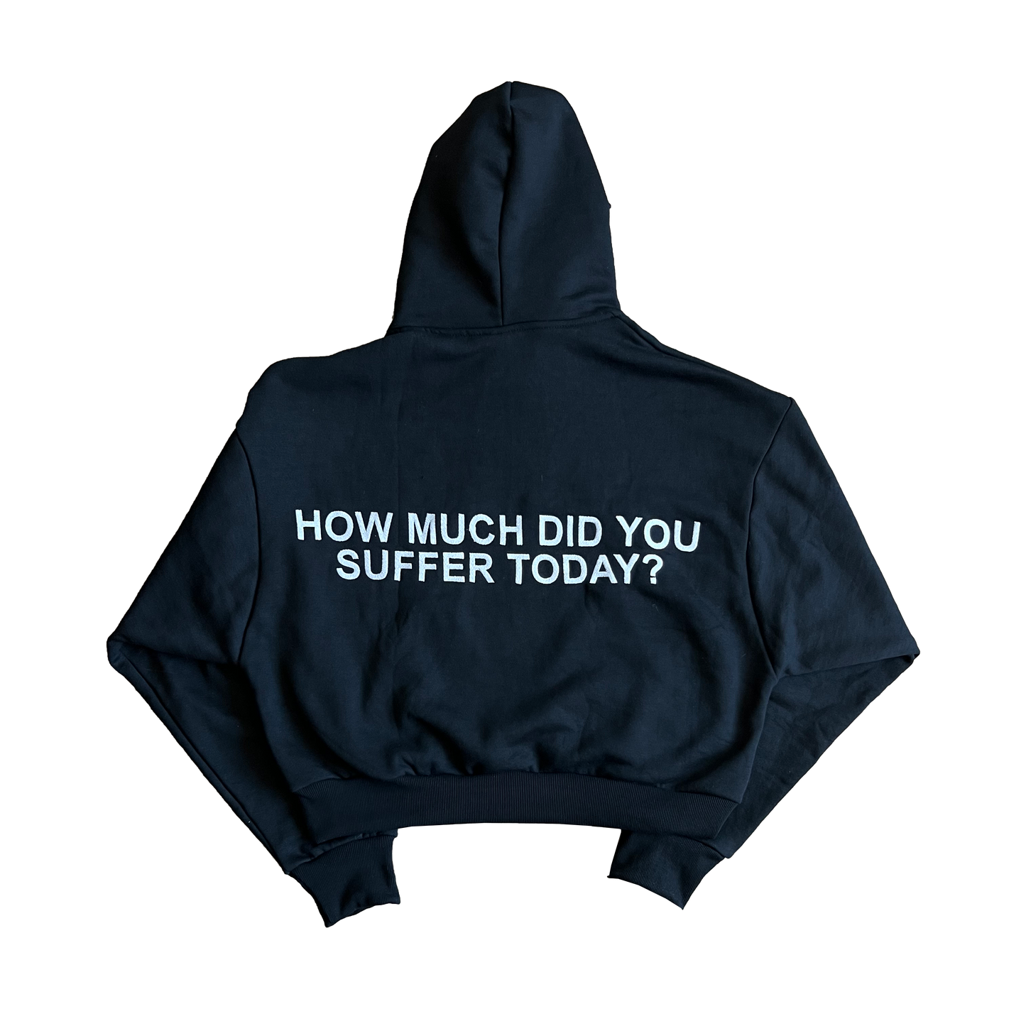 How Much Did You Suffer?  - Embroidered Heavy Pullover [DETHBEACH X GSS]